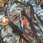 making a woodland fire